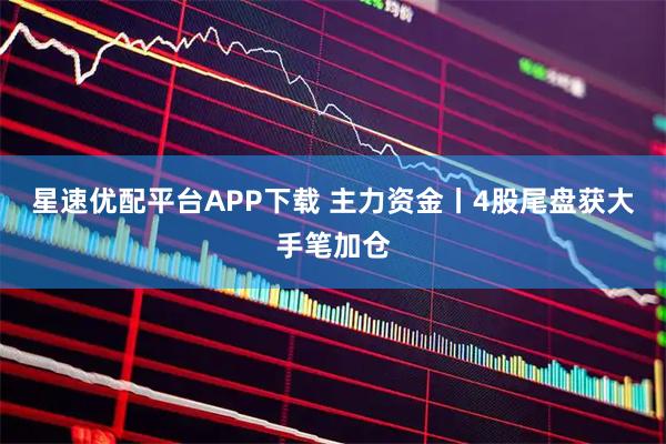星速优配平台APP下载 主力资金丨4股尾盘获大手笔加仓